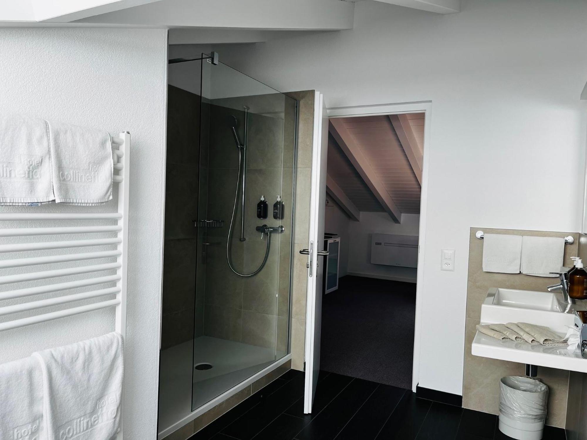 Hotel Collinetta Ascona Exterior photo